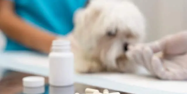 Imagen cabecera post