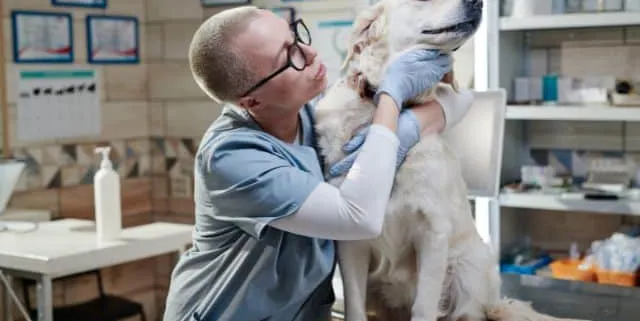 Imagen cabecera post