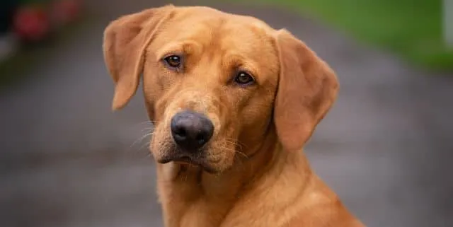 Imagen cabecera post