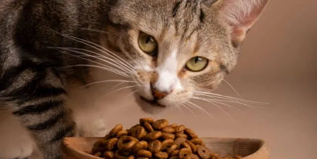 Imagen cabecera post