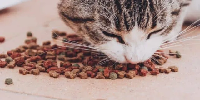 Imagen cabecera post