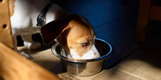 Imagen cabecera post