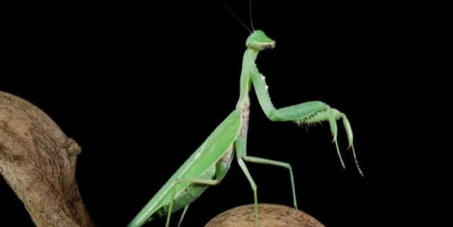 Imagen cabecera post