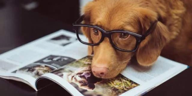 Imagen cabecera post