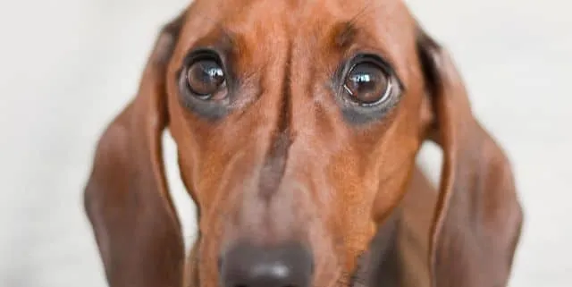 Imagen cabecera post