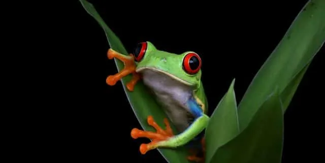 Imagen cabecera post