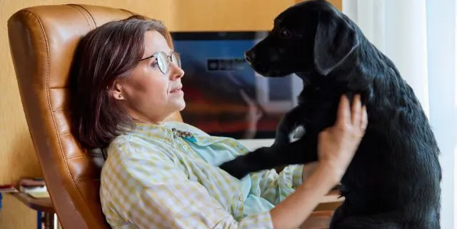 Imagen cabecera post