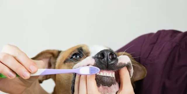 Imagen cabecera post