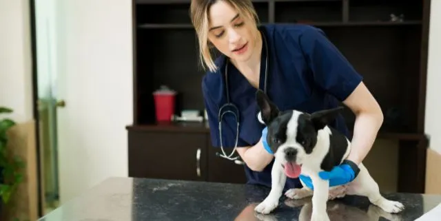 Imagen cabecera post