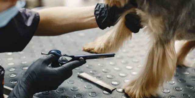 Imagen cabecera post