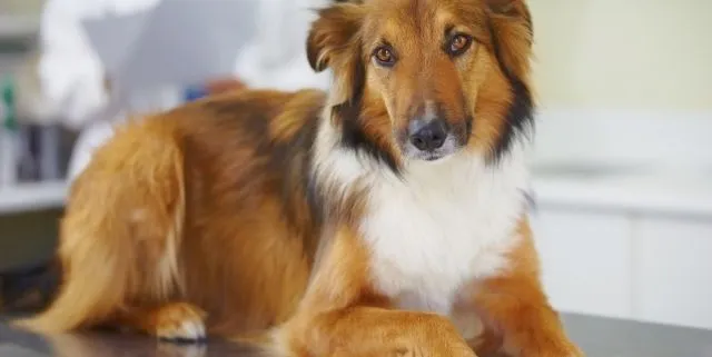 Imagen cabecera post