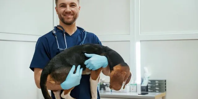 Imagen cabecera post