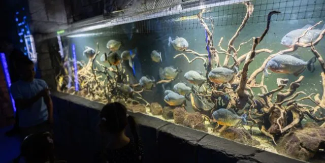 Imagen cabecera post