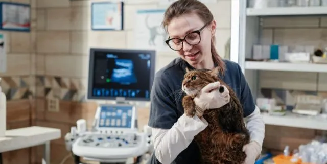 Imagen cabecera post