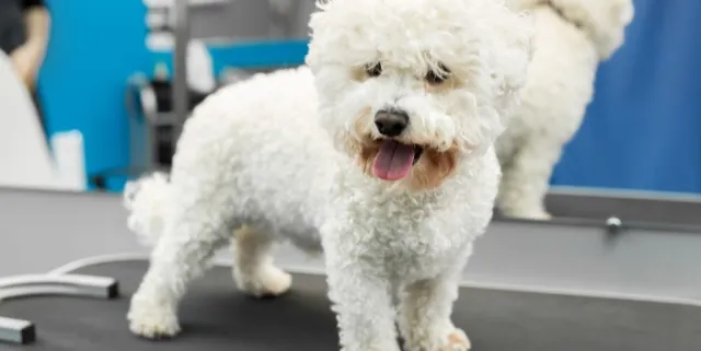 Imagen cabecera post