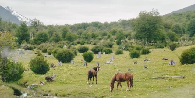 Imagen cabecera post