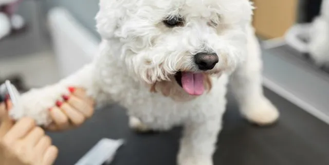 Imagen cabecera post