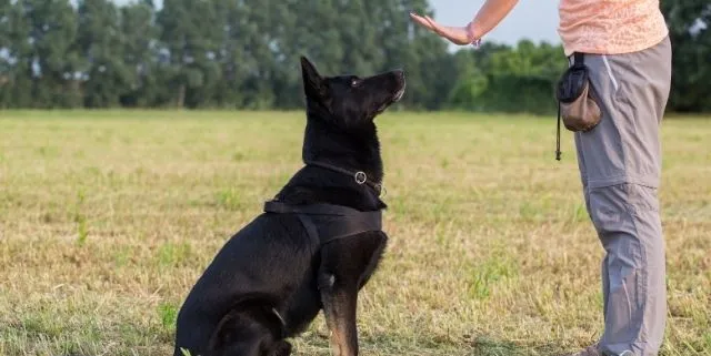 Imagen cabecera post