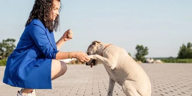 Imagen cabecera post