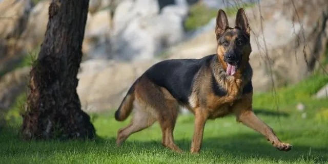 Imagen cabecera post