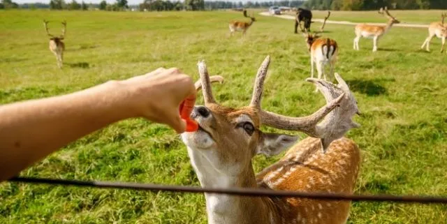 Imagen cabecera post