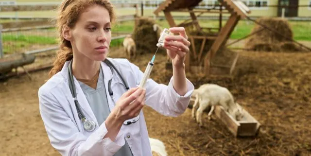 Imagen cabecera post