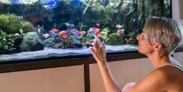 Imagen cabecera post