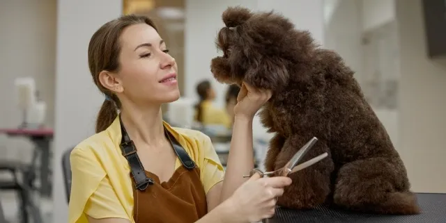 Imagen cabecera post