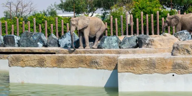 Imagen cabecera post