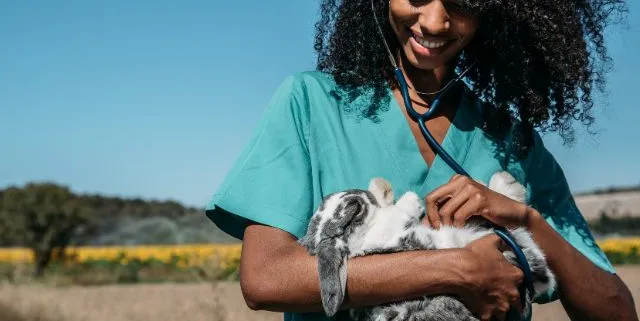 Imagen cabecera post