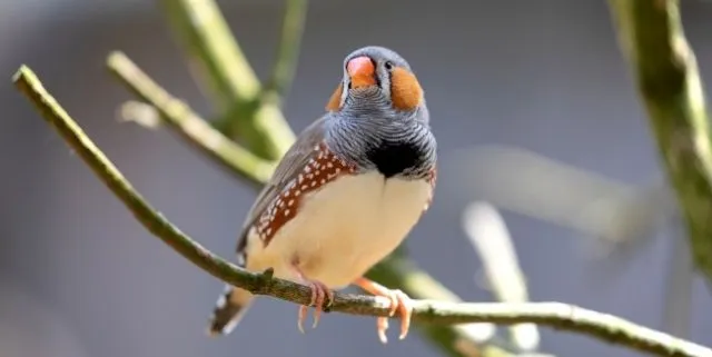 Imagen cabecera post