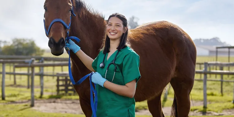 Imagen cabecera post