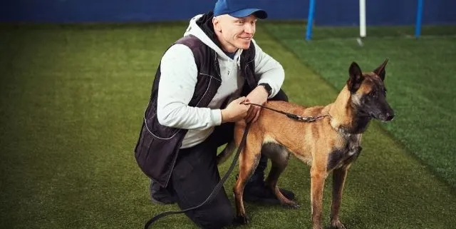 Imagen cabecera post