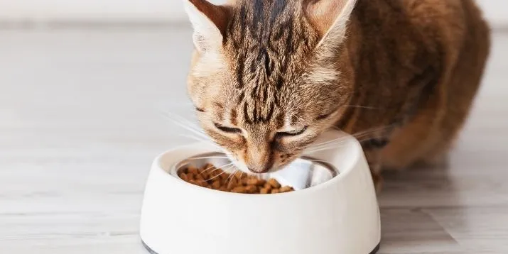 Imagen cabecera post