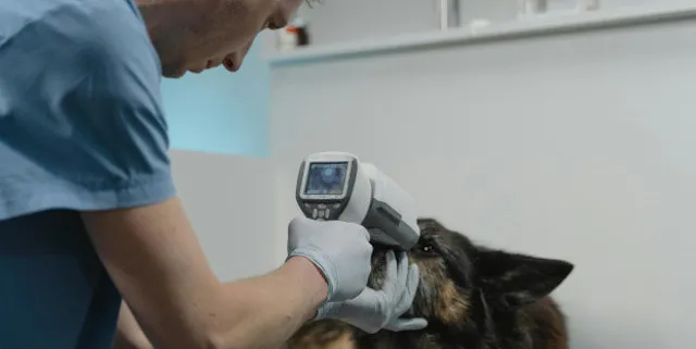 Imagen cabecera post