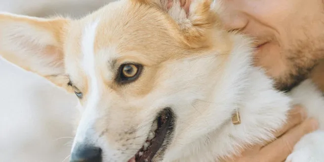 Imagen cabecera post