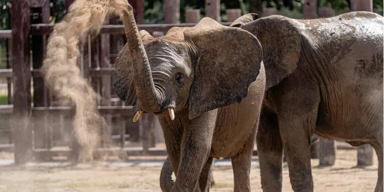 Imagen cabecera post