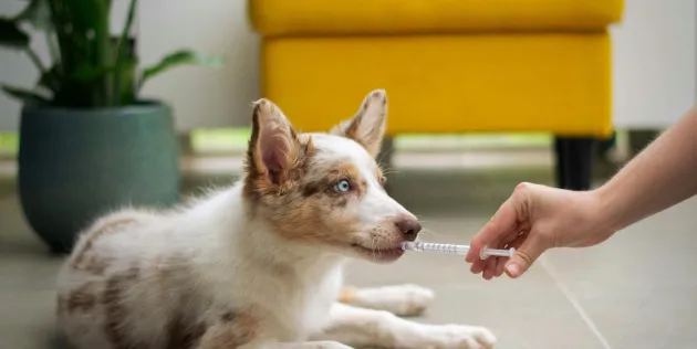 Imagen cabecera post