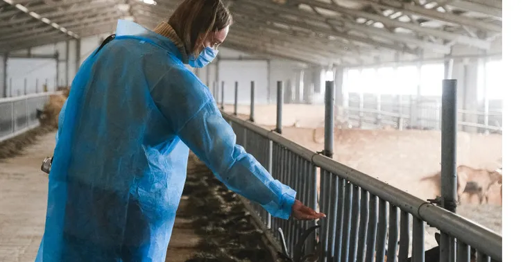 Imagen cabecera post