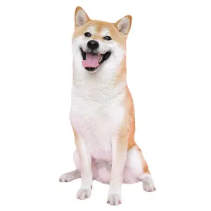 HOME-Perro-500x500-1_11zon