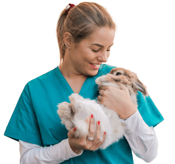Cursos de Veterinaria: Especialízate en lo(s) que más te gusta(n)