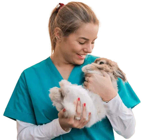 Cursos de Veterinaria: Especialízate en lo(s) que más te gusta(n)