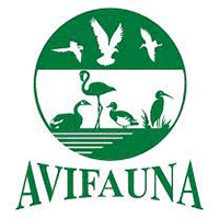 Avifauna