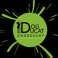 Dog Educat