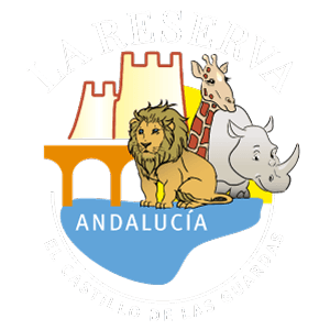 El Castillo de las Guardas 