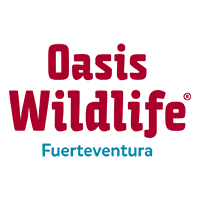 Oasis Wildlife