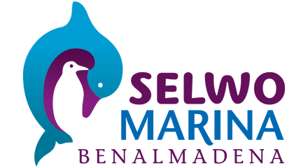 Selwo Marina PNG