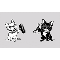 Sin Nudos_Peluqueria Canina