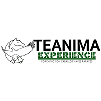 TEANIMA_Experience