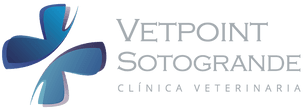 Vetpoint _ Clnica Veterinaria en Sotogrande